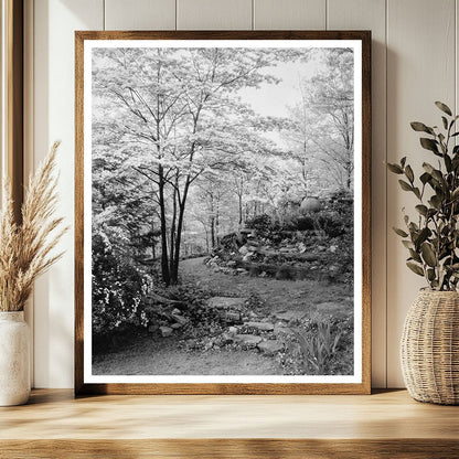 Stevenson MD Rock Garden Photo, Early 20th Century