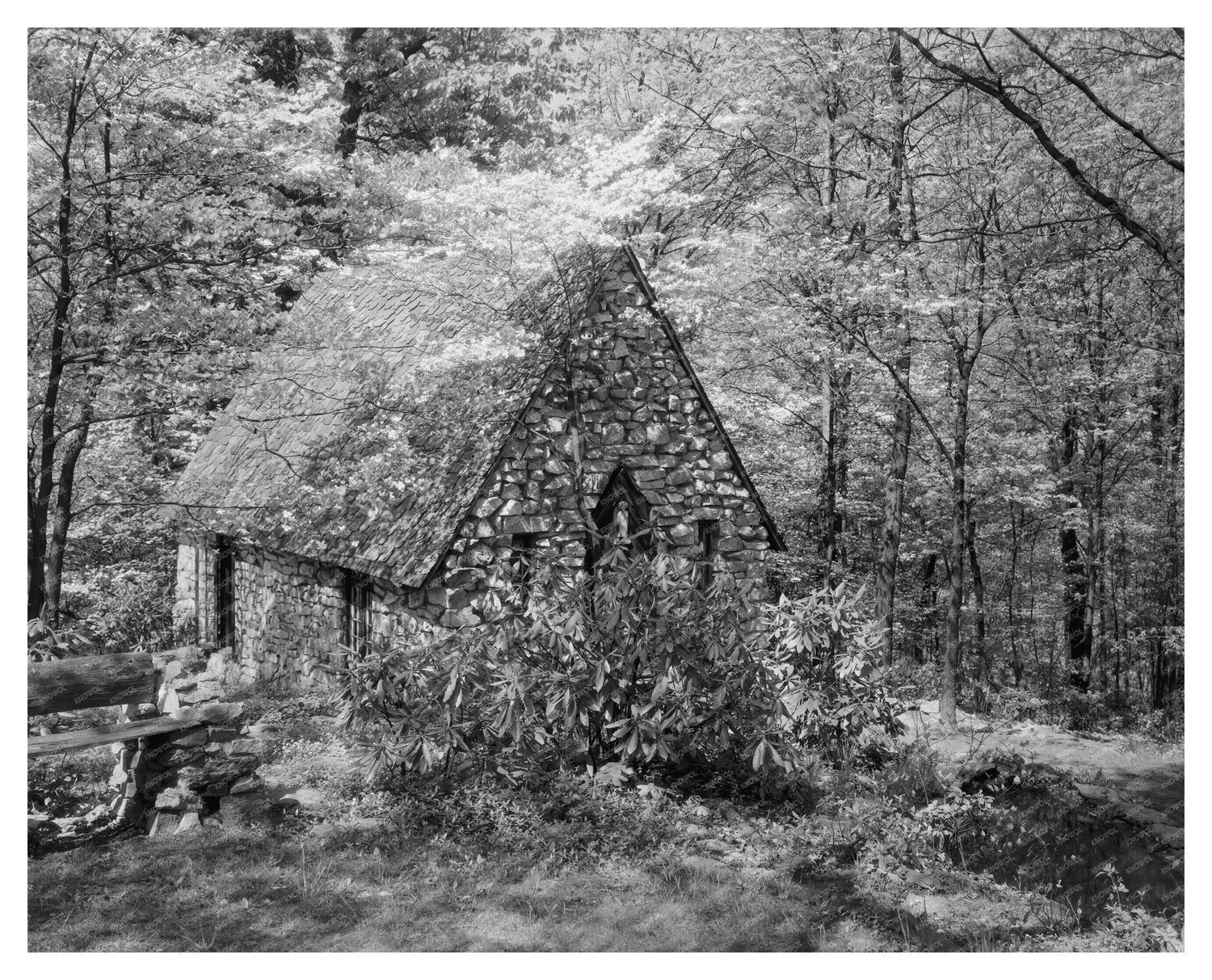 Stevenson, MD Architecture: Vintage Photo from 1953