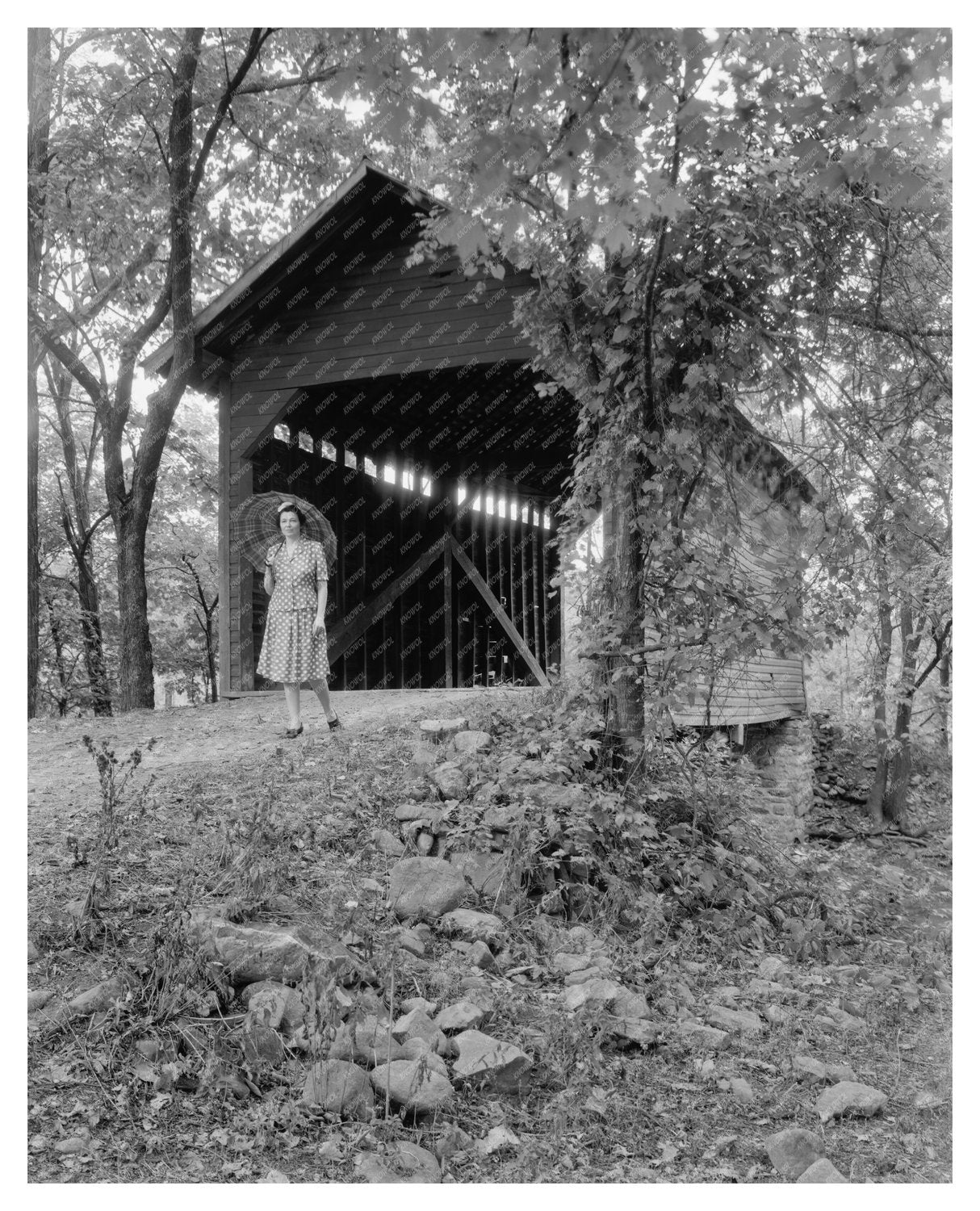 Covered Bridge in Frederick County, MD - Early 20th Century