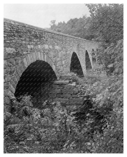 Frederick County Bridge Photo, Maryland, 20th Century