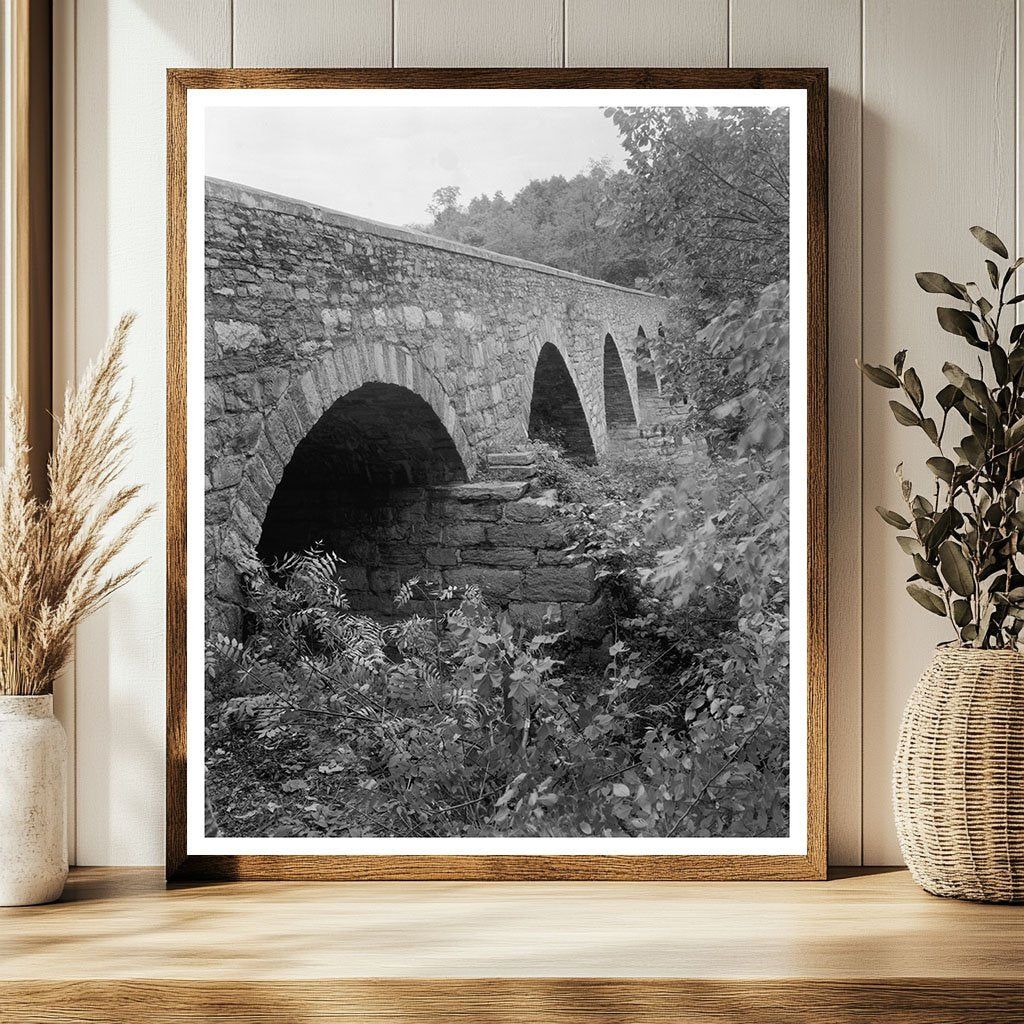 Frederick County Bridge Photo, Maryland, 20th Century