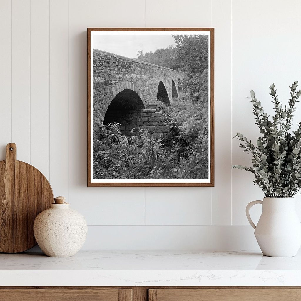 Frederick County Bridge Photo, Maryland, 20th Century