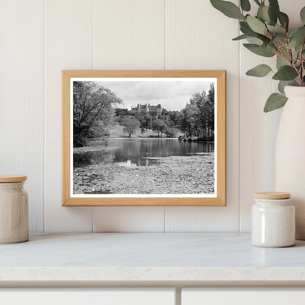 Asheville NC Estate Photo, 1895 Architecture History