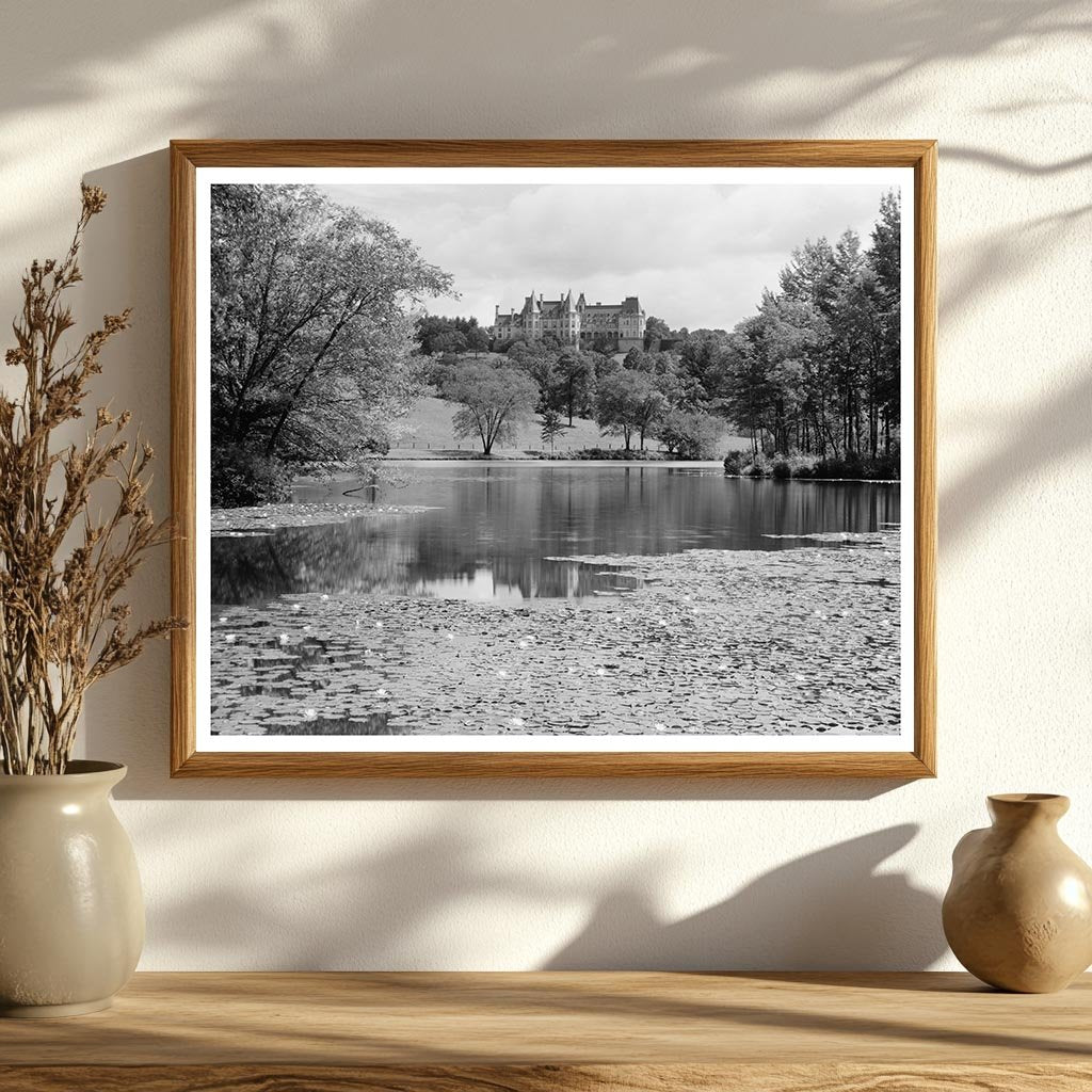 Asheville NC Estate Photo, 1895 Architecture History