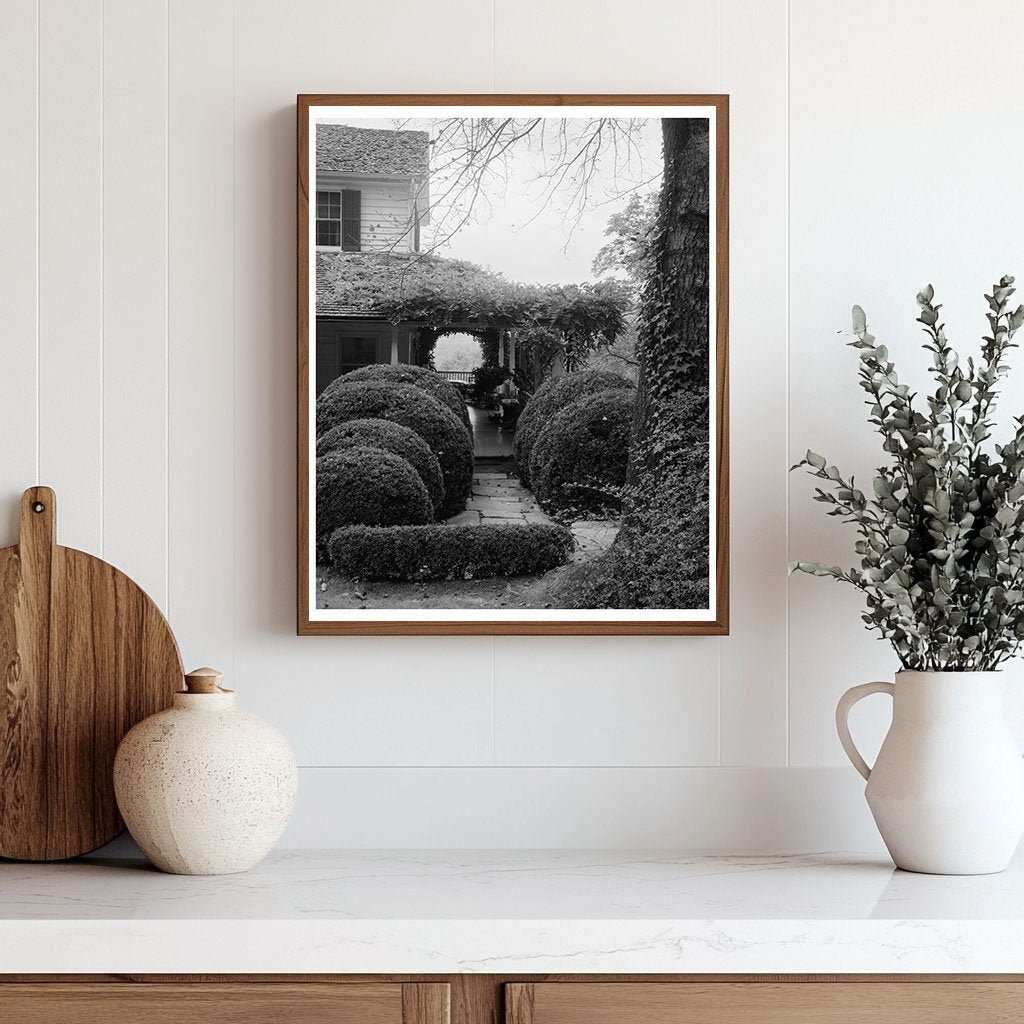 Hickory Nut Gap, NC Historic Building Photo 1804