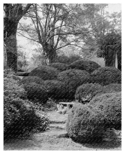 Hickory Nut Gap NC 1804: Historic Stone Wall Photo