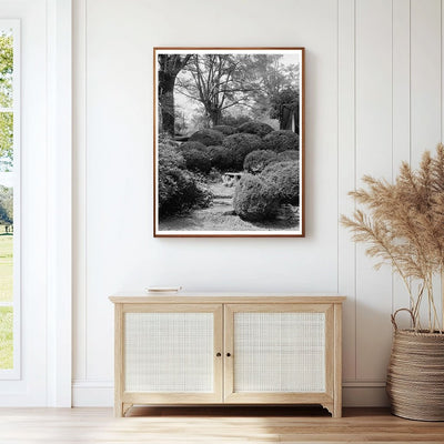 Hickory Nut Gap NC 1804: Historic Stone Wall Photo