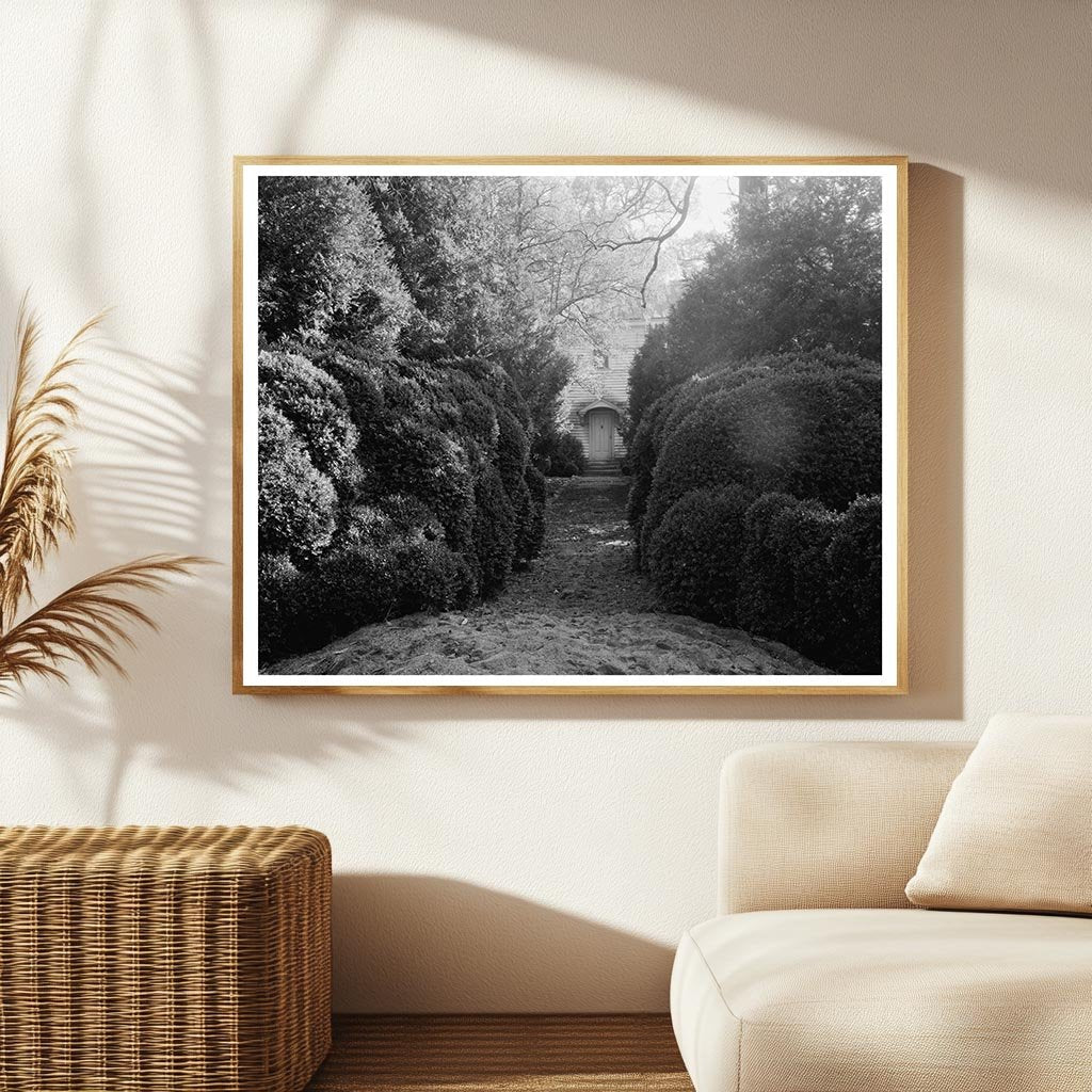 Yanceyville NC Historical Building Photo 1800