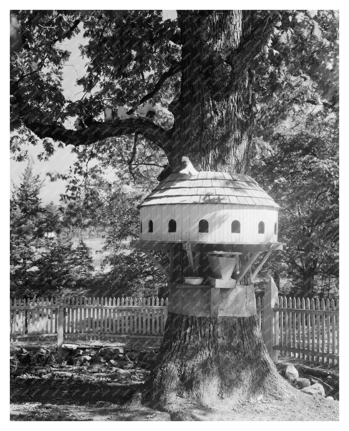 Yanceyville, NC Vintage Architecture Photo, 1800s
