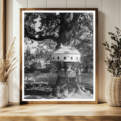 Yanceyville, NC Vintage Architecture Photo, 1800s