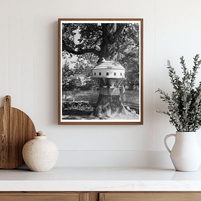 Yanceyville, NC Vintage Architecture Photo, 1800s