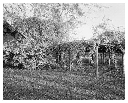 Historic Residence in Durham, NC - 1851 Architecture