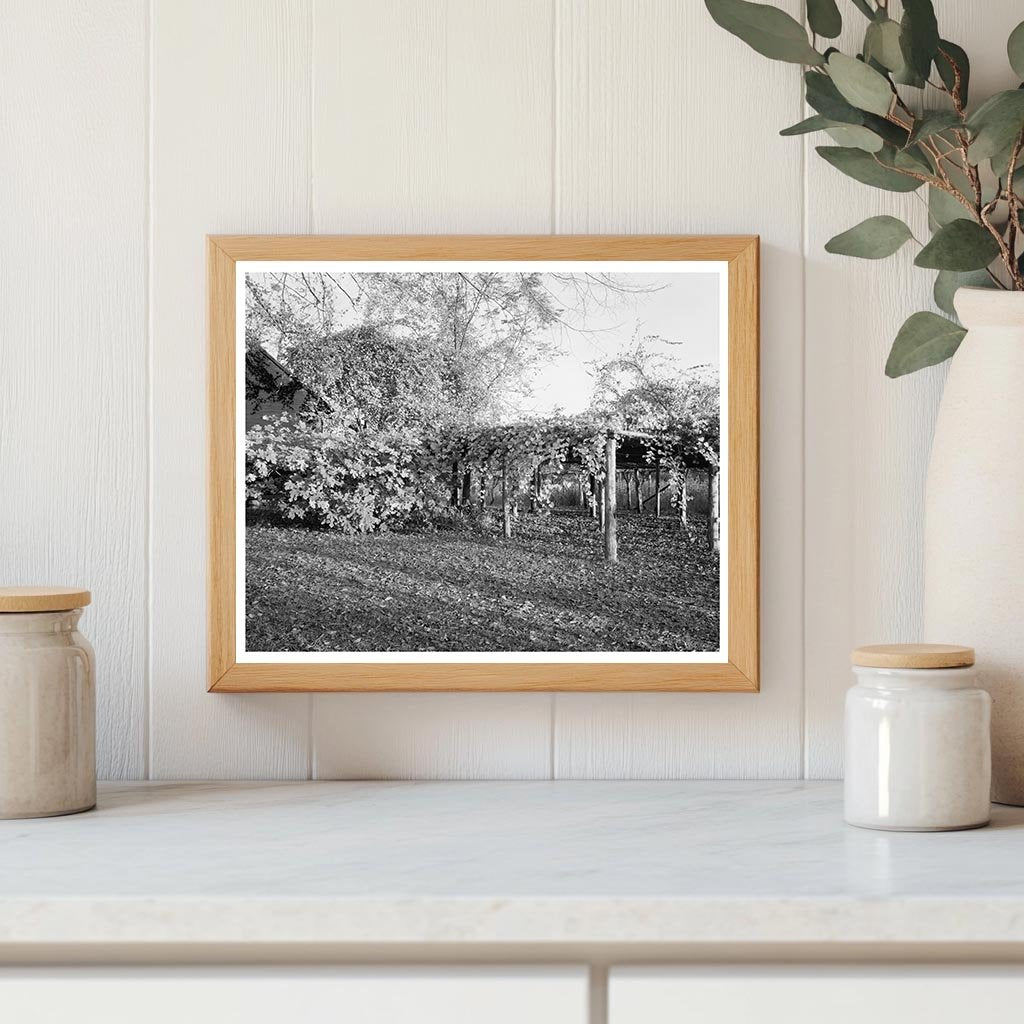 Historic Residence in Durham, NC - 1851 Architecture