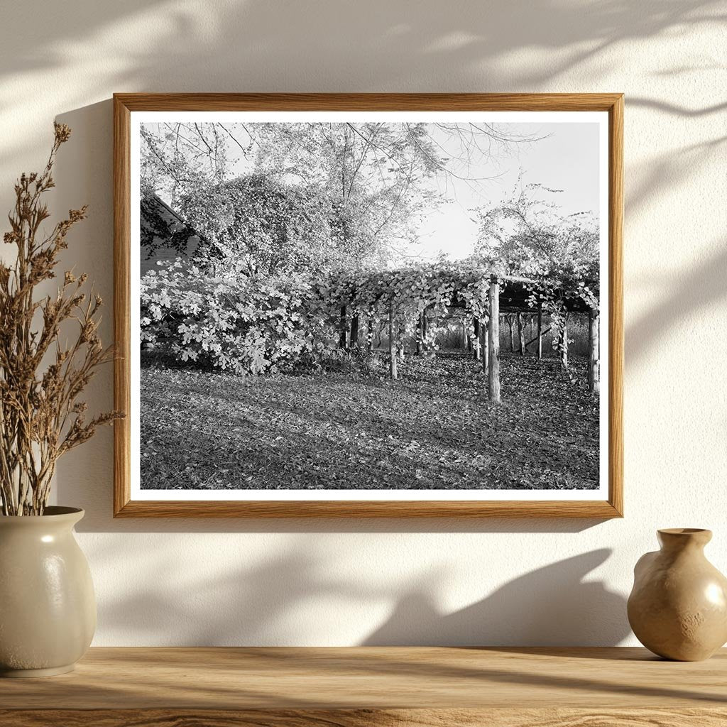 Historic Residence in Durham, NC - 1851 Architecture