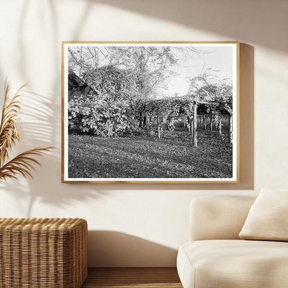 Historic Residence in Durham, NC - 1851 Architecture