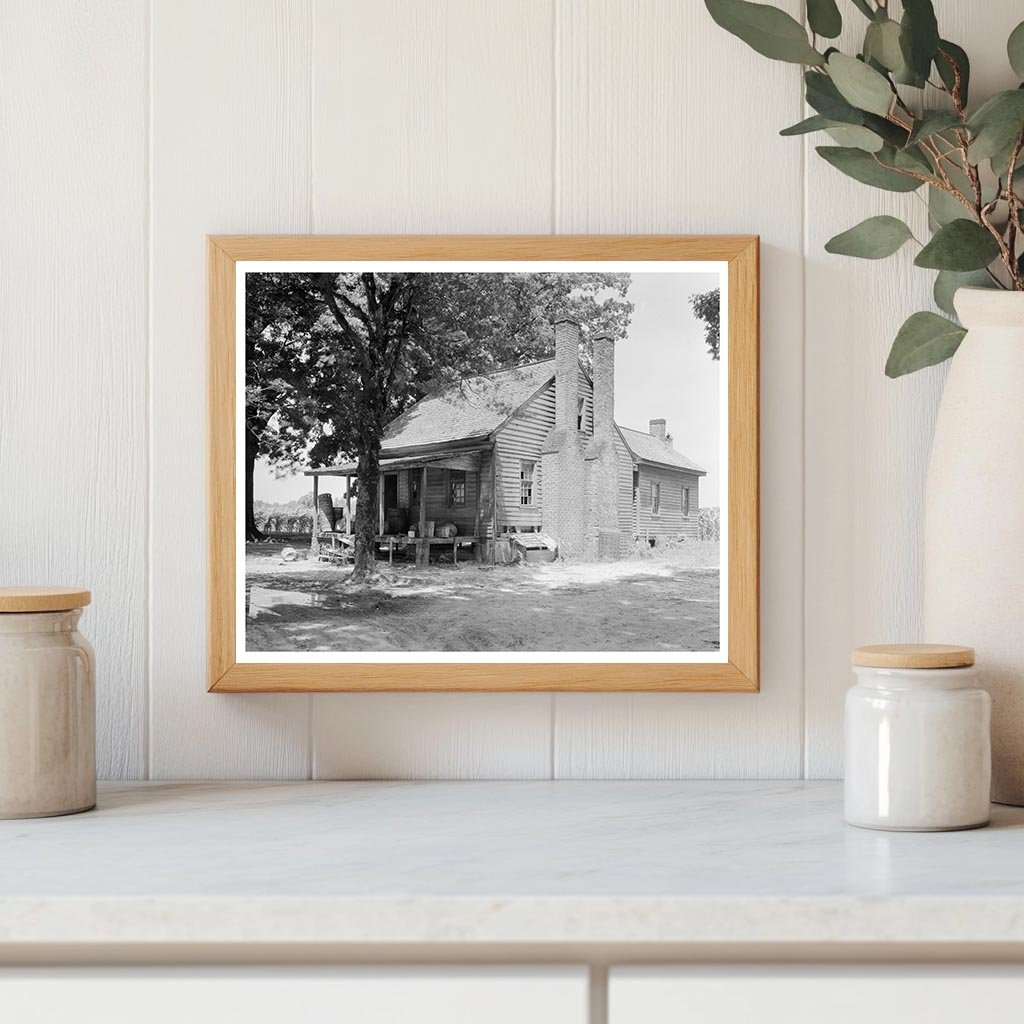 Mule-Driven Cotton Press in Tarboro, NC - 1953 History