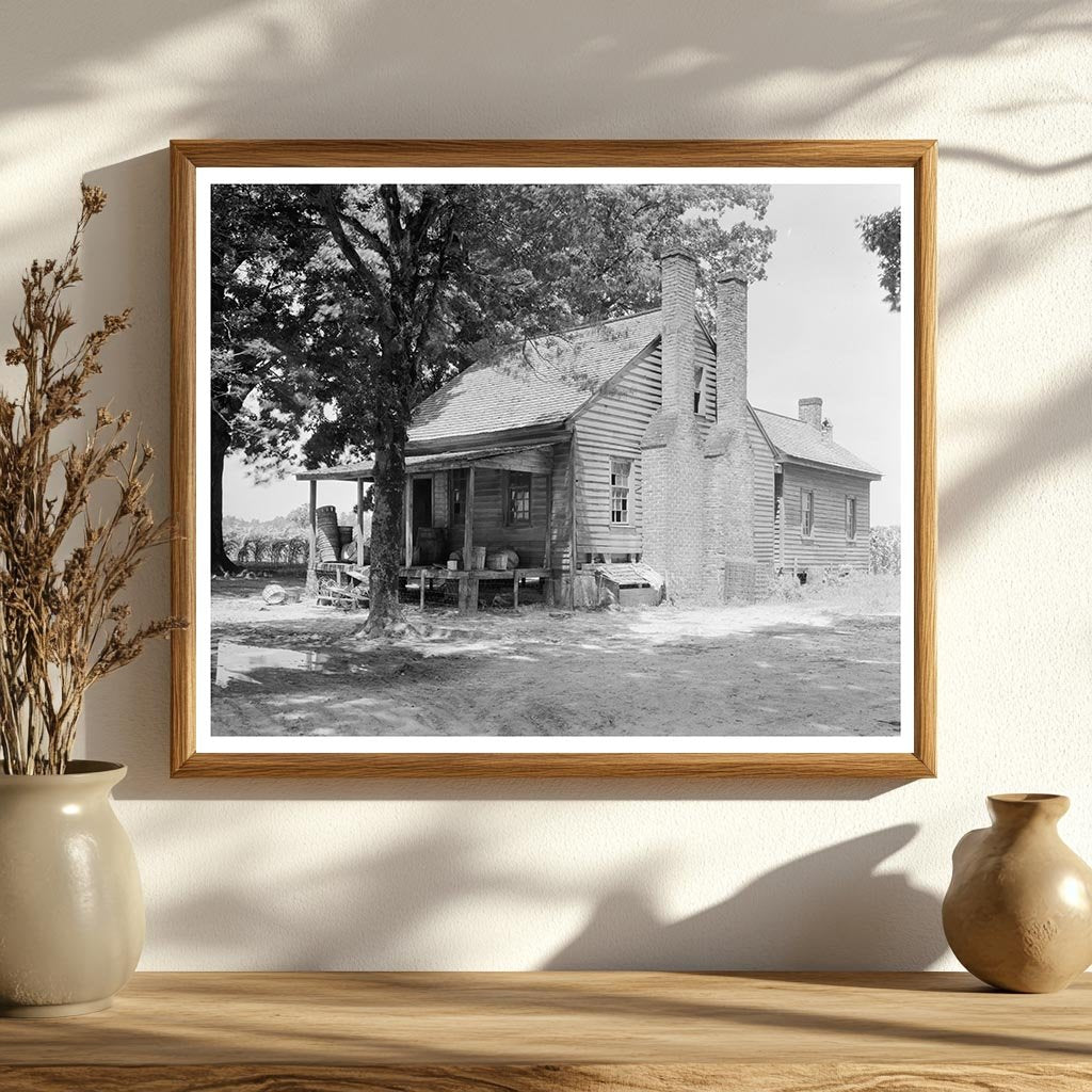 Mule-Driven Cotton Press in Tarboro, NC - 1953 History