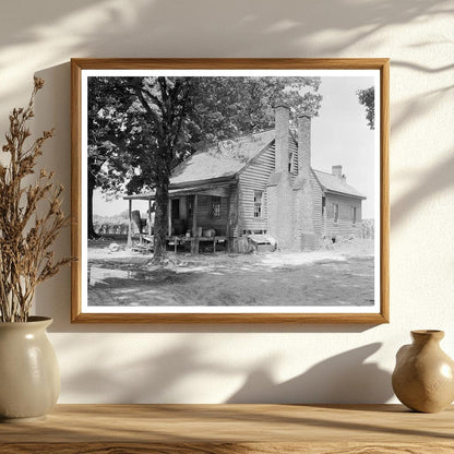 Mule-Driven Cotton Press in Tarboro, NC - 1953 History