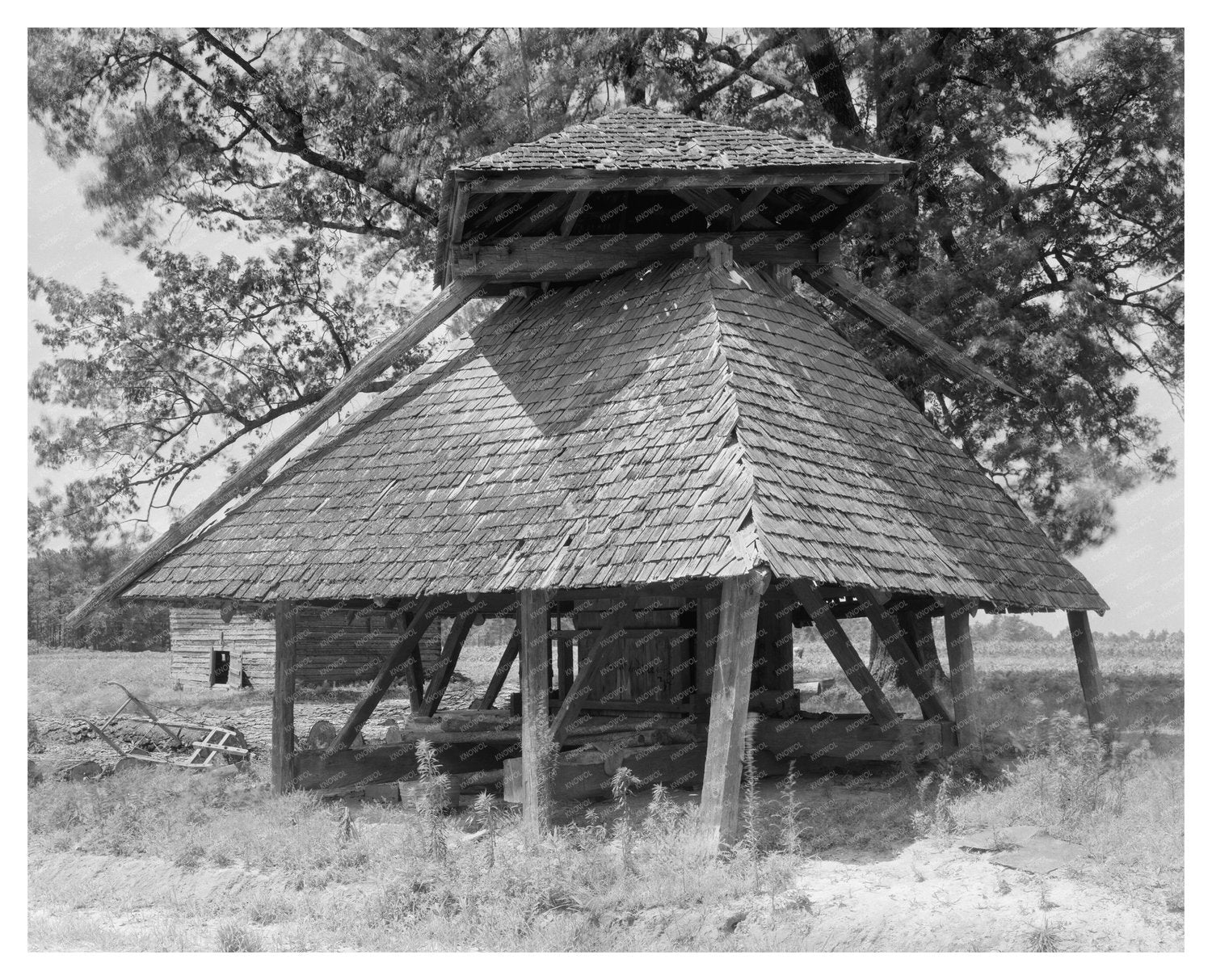 Cotton Press in Tarboro, NC - Agricultural History 1941