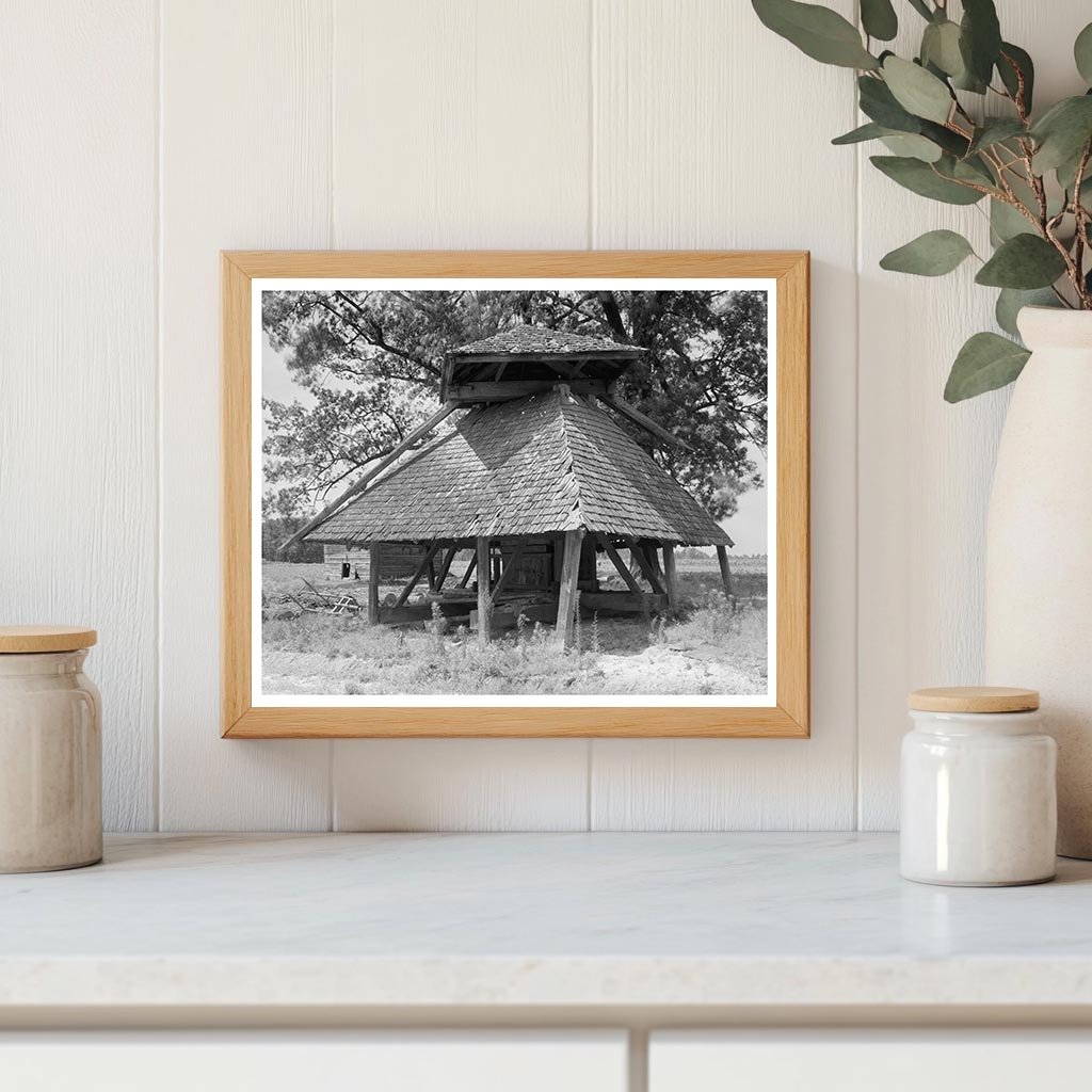 Cotton Press in Tarboro, NC - Agricultural History 1941