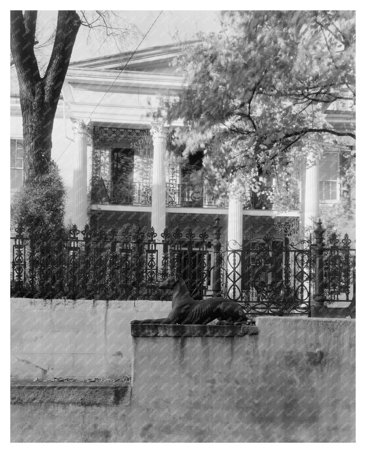 Winston-Salem 1849 Historic Dwelling Photograph