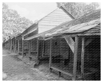 Denver NC Camp Scene, Early 20th Century Photograph
