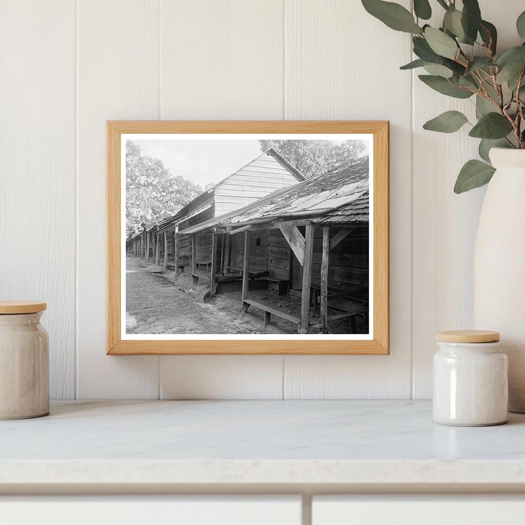 Denver NC Camp Scene, Early 20th Century Photograph