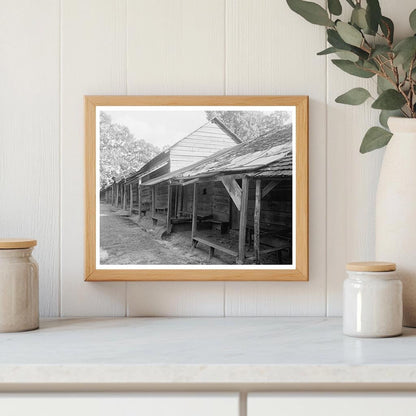 Denver NC Camp Scene, Early 20th Century Photograph