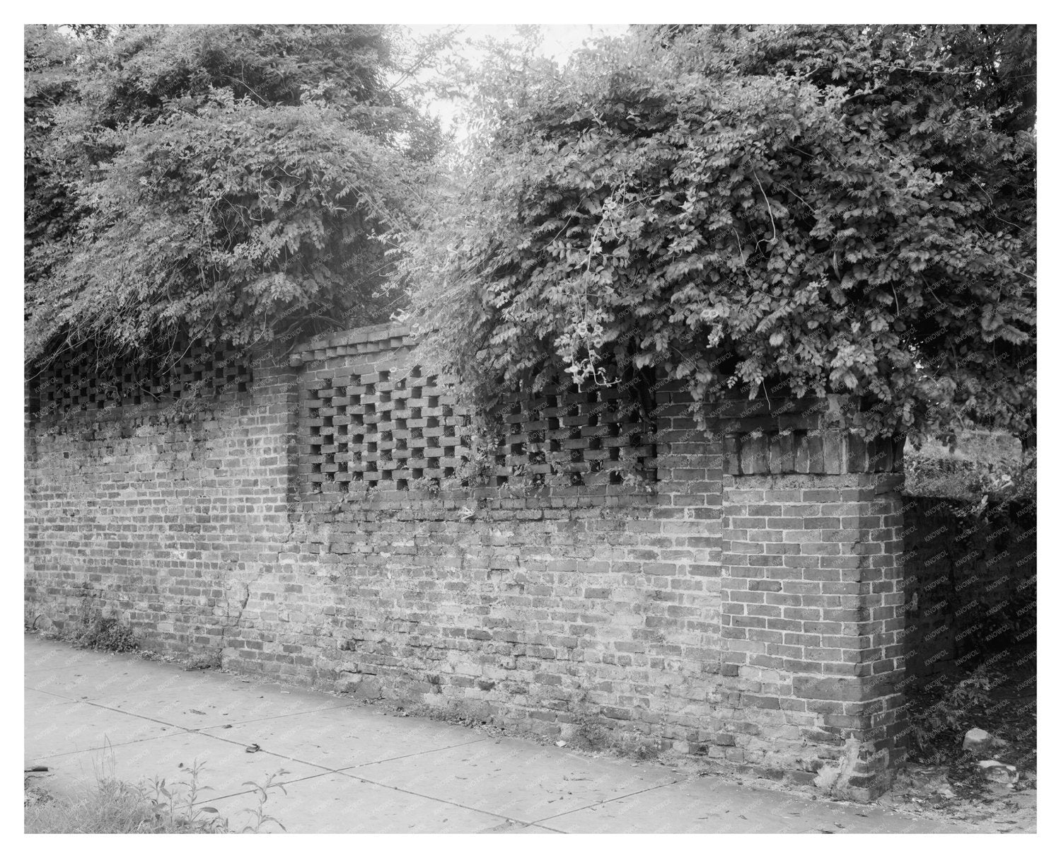 Vintage Wilmington Architecture Photo, NC, Early 20th Centur