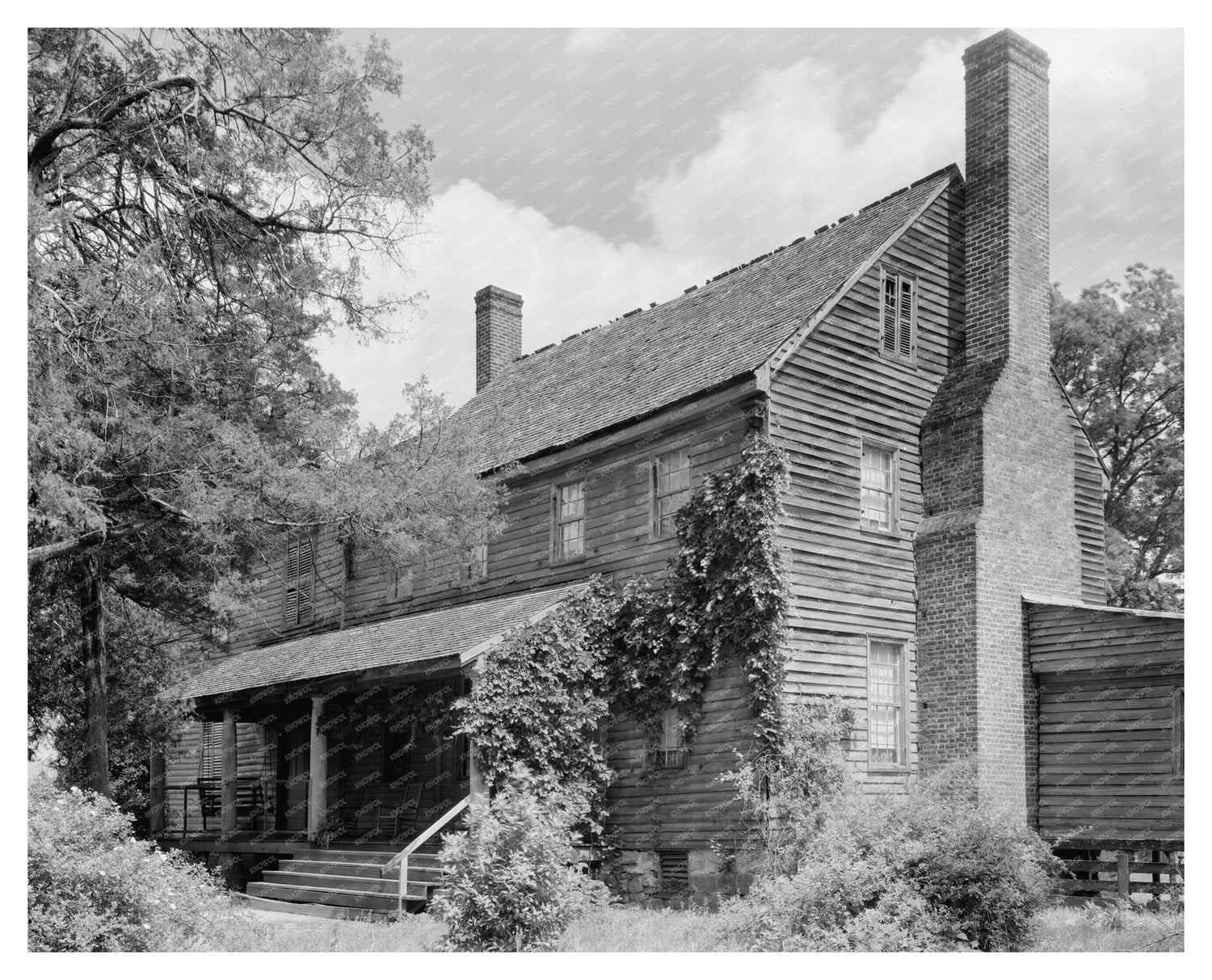 Cedar Walk, Williamsboro NC, Vintage Photo, 1953