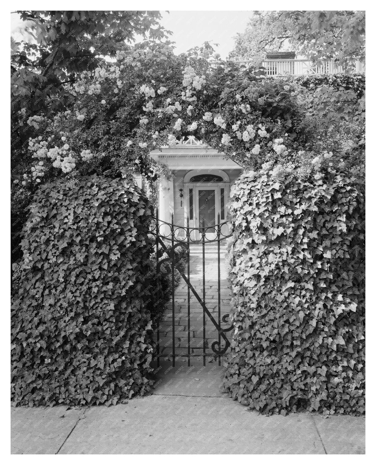 Warrenton NC Vintage Architecture Photo, Early 20th Century