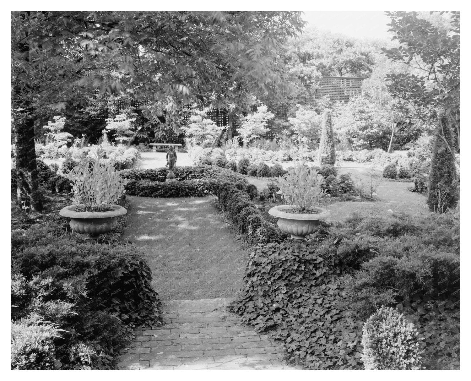 1953 Vintage Garden Photo in Warrenton, NC