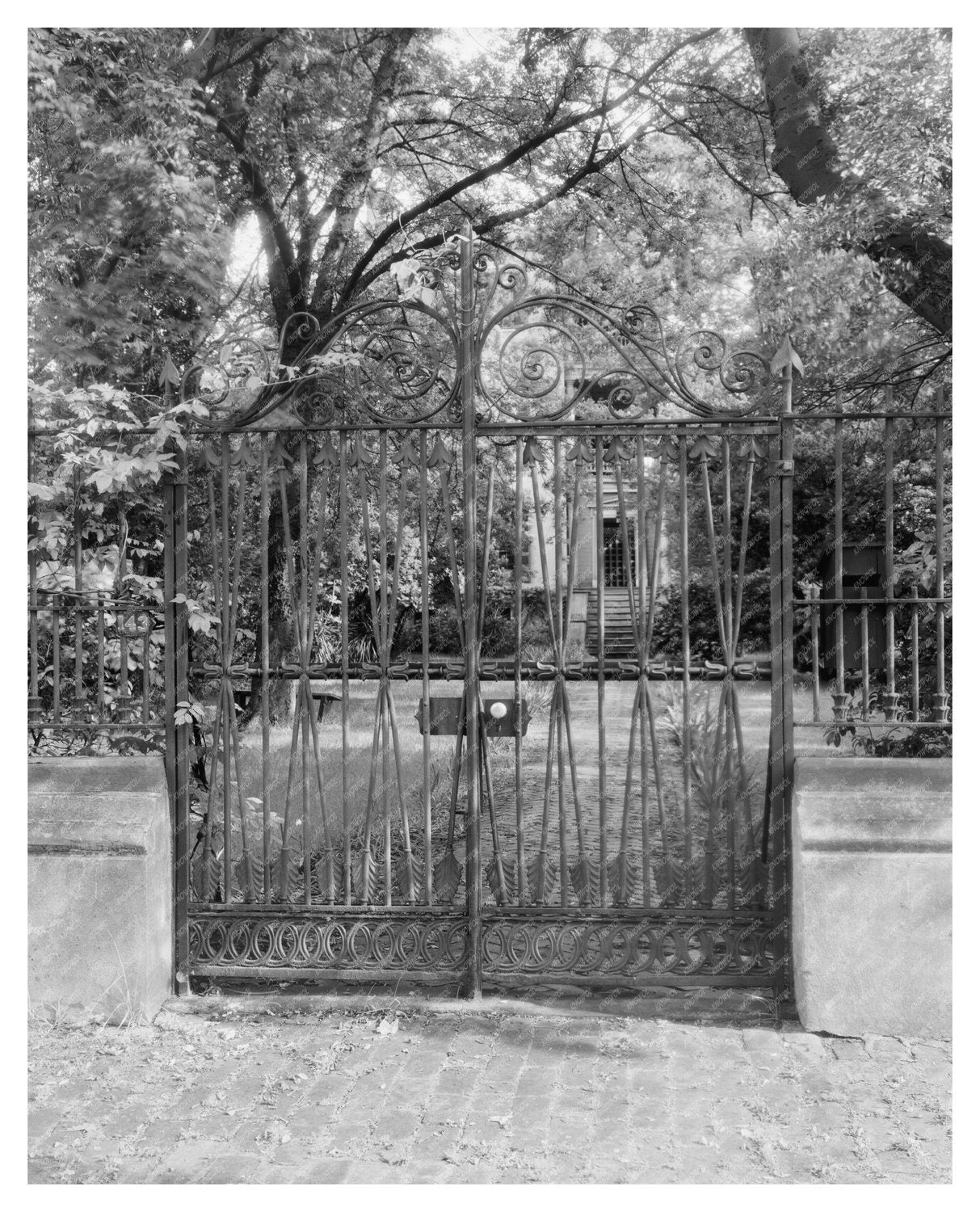 Charleston SC Garden Gates Photograph 1900s