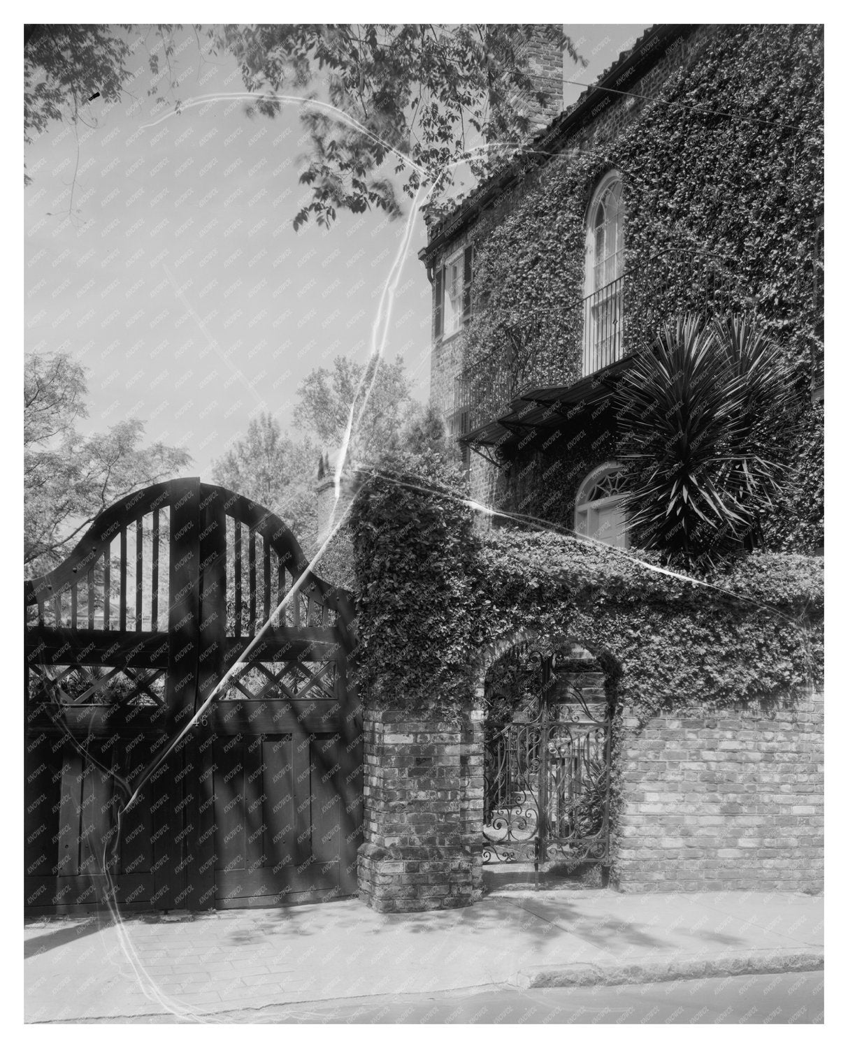 Charleston SC Iron Gate Vintage Photo 1864-1952