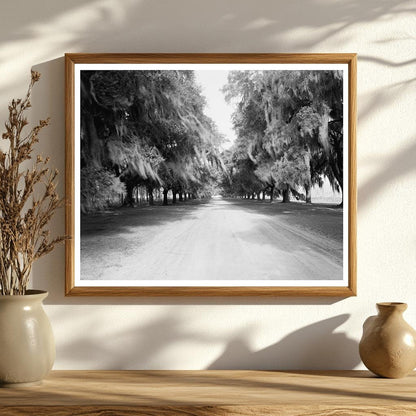 Mount Pleasant SC Landscape Photo, 1843