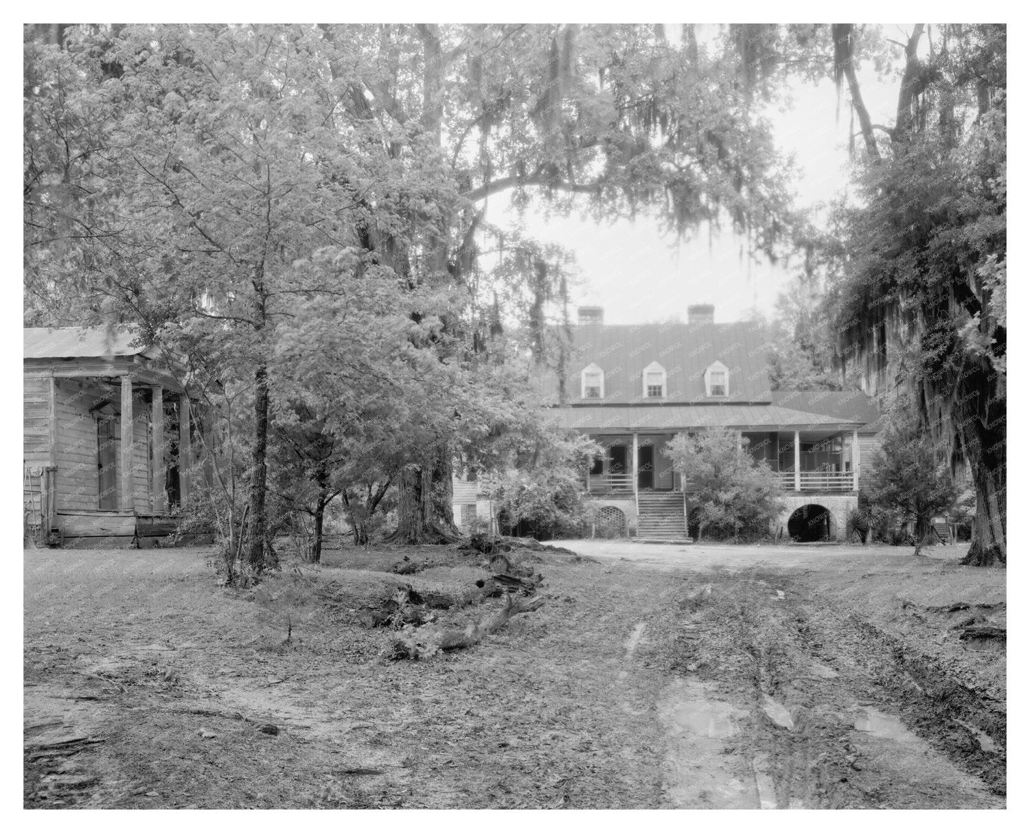 Historic Eutawville Building, SC - 1808 Photo Heritage