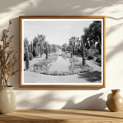 Historic Plantation on Johns Island, SC - 1730 Photo