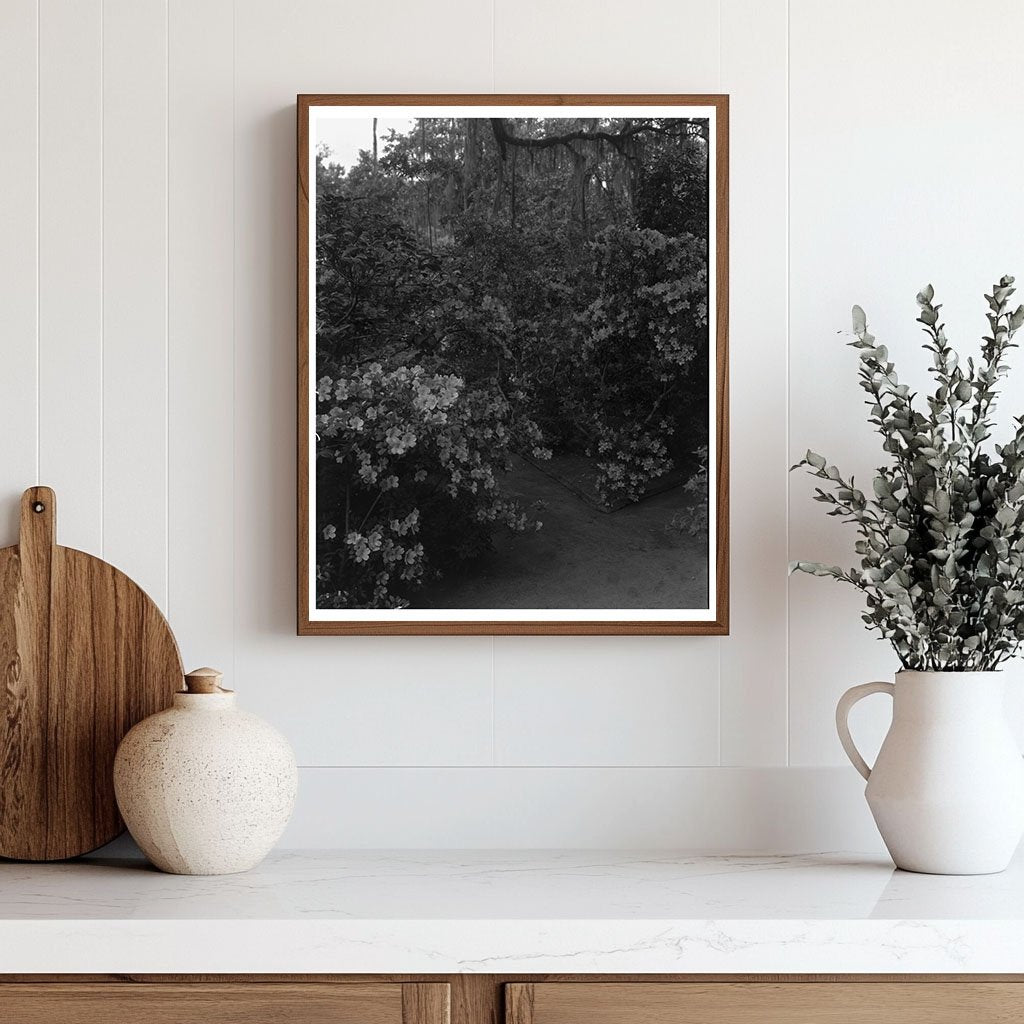Charleston Garden Scene, South Carolina, 1938