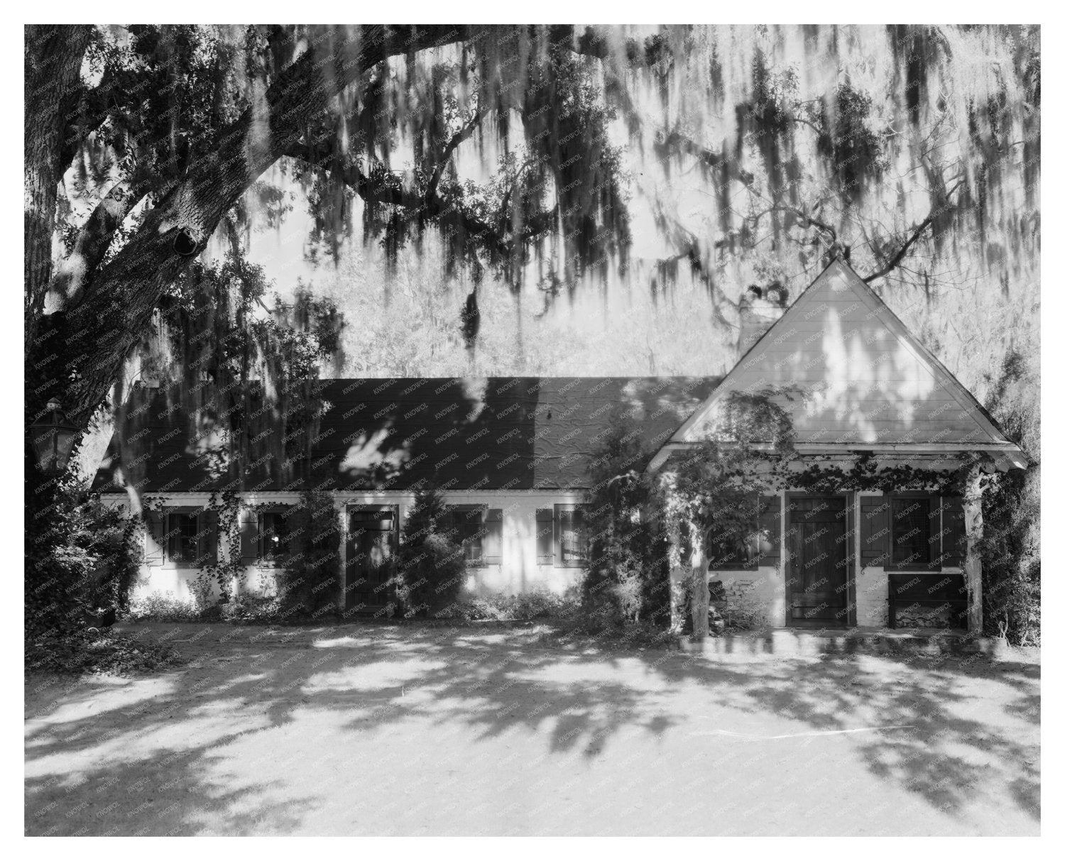 Goose Creek SC Historic House 1686 Vintage Photo
