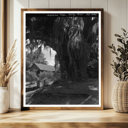 Historic 1755 Plantation, Dorchester County, SC 1938