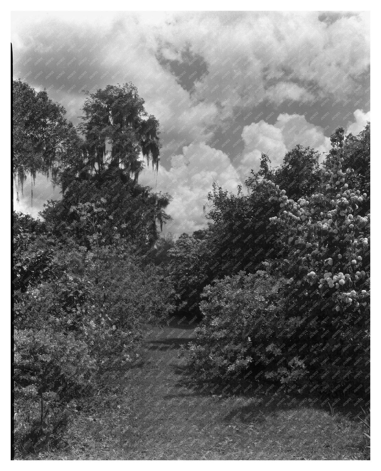 Historic 1755 Structure in Dorchester County, SC