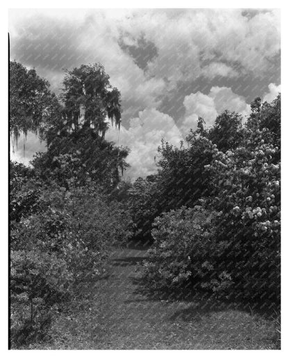 Historic 1755 Structure in Dorchester County, SC