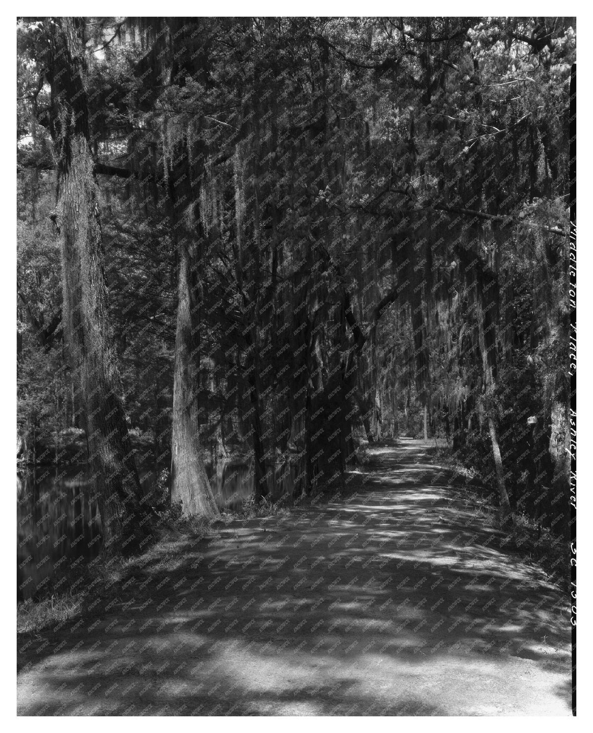 Historic 1755 Structure, Dorchester County, SC, 1938
