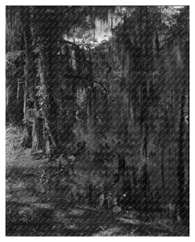 Historic Ashley River, Dorchester County, SC 1755 Image
