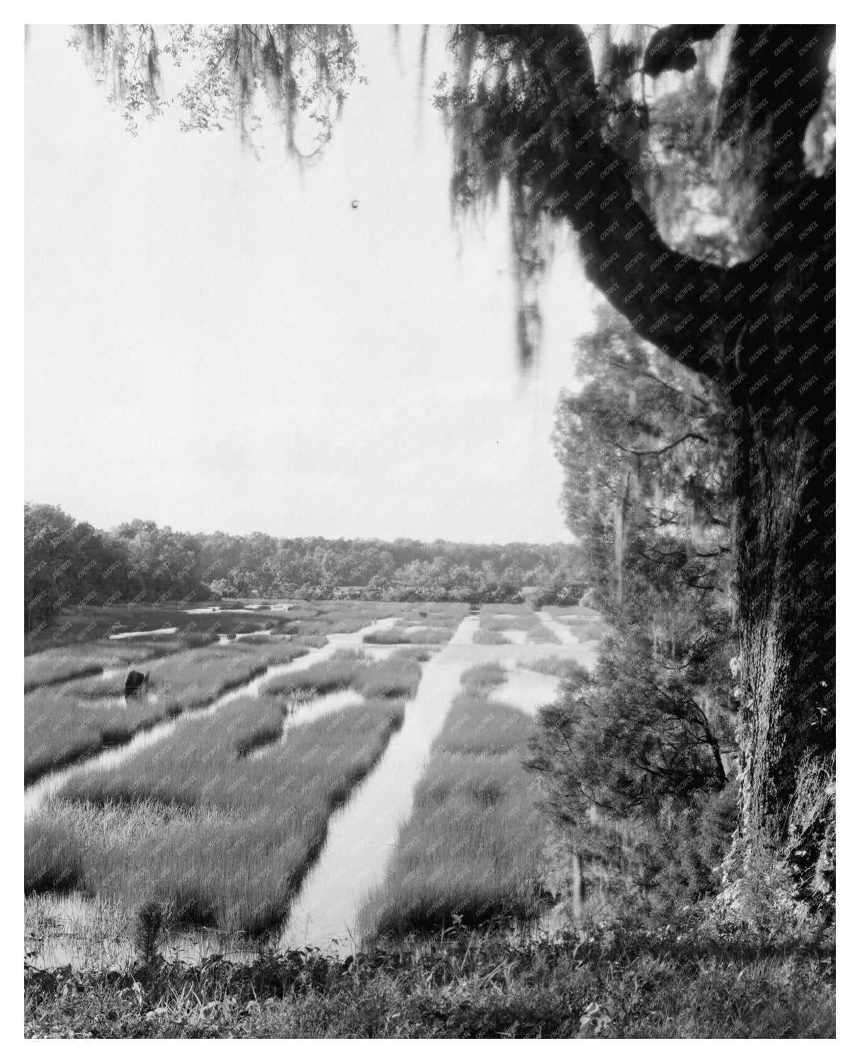 Historic Building in Moncks Corner, SC, 1714 Photo