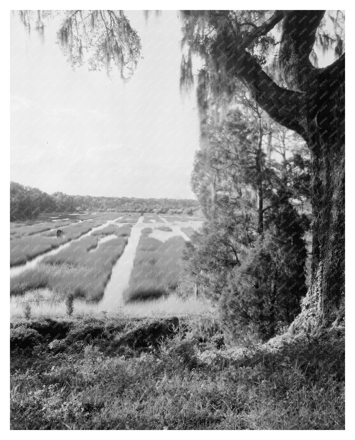 Moncks Corner SC Architecture History 1714 Photo