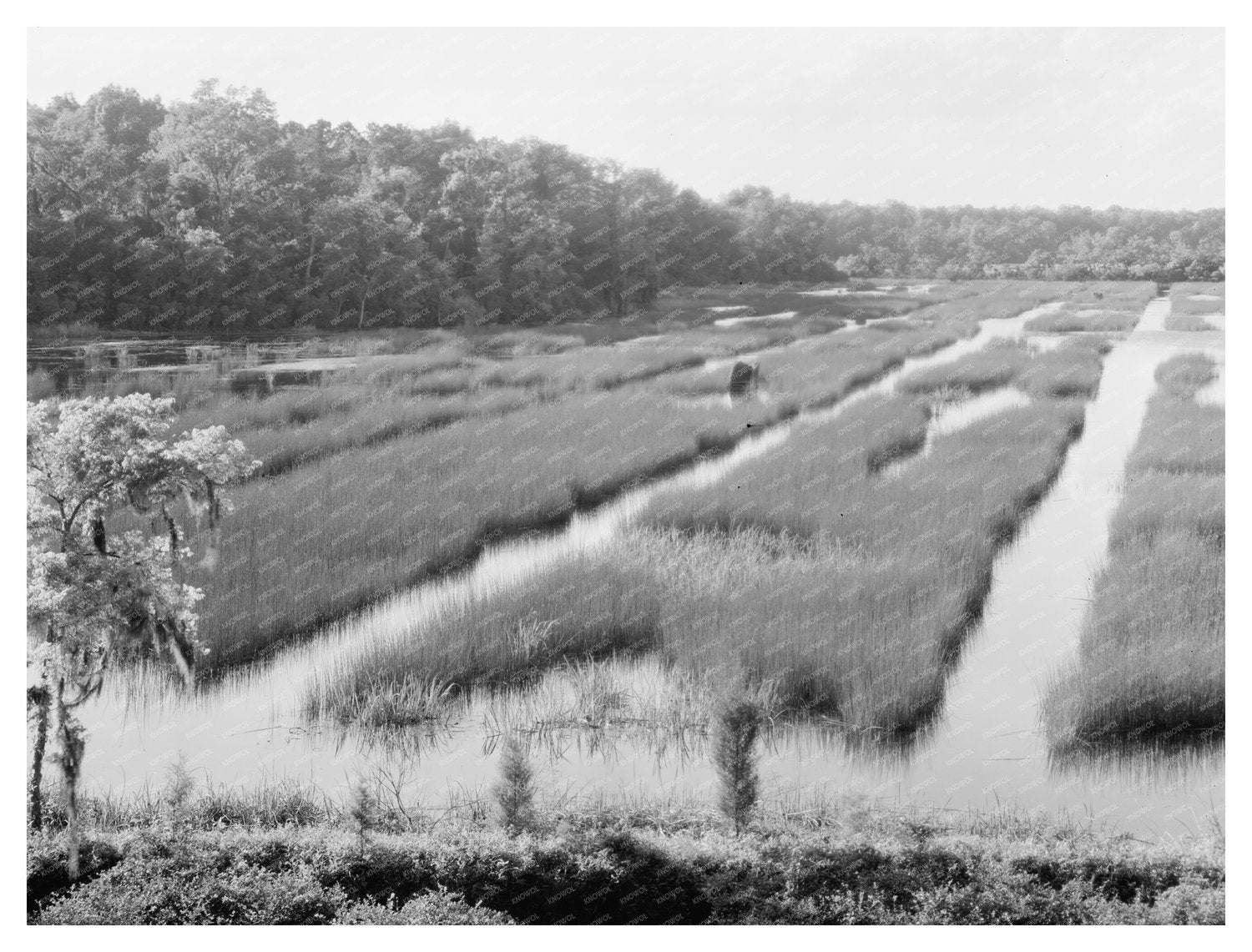 Moncks Corner SC Architecture History Photo 1938