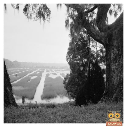 Moncks Corner SC Vintage Landscape Photograph 1910s