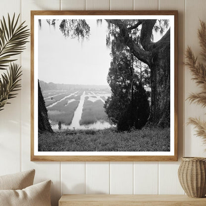 Moncks Corner SC Vintage Landscape Photograph 1910s