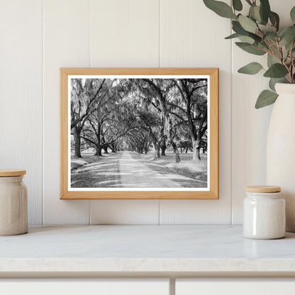 Historic Building in Sheldon, SC - 1820 Photo